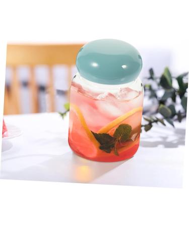 Alipis 5pcs Water Cup Bottles with Caps Cold Drink Bottles Glass Coffee Mugs Clear Milk Bottles Beverage Containers Terrarium Iced Coffee Cup Seal Flower Tea Cup High Borosilicate Student - Buy Online on GoSupps.com