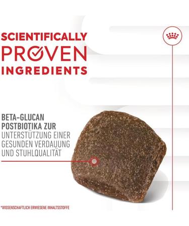 ROYAL CANIN Digestion Chews Adult Supplements | 160 g | Supplementary Feed for Adult Dogs | To Support Digestion & Intestinal Flora | Scientifically Developed - Buy Online on GoSupps.com