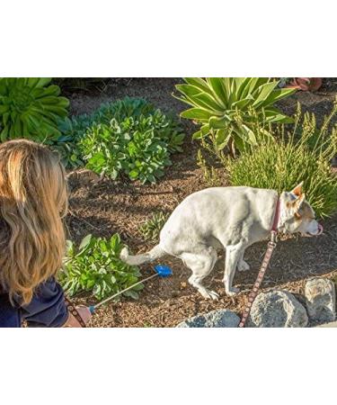 PawCheck P-Scoop Dog Urine Collector - Telescopic Urine Catcher | Extends to 29 - Buy Online on GoSupps.com