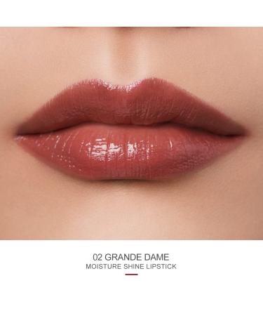 Oulac 2-in-1 Lipstick & Lip Balm - Juicy Shiny Lip Care for Smooth Hydrated Lips | Vegan Plummy Terracotta - Buy Online on GoSupps.com