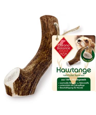 Chronobalance M antler creak for dogs Whole pieces as a cheeky stuff: 100% deer antlers dog toy treat dental care kausnack antler chewing bones of course without additives m - 1 piece - Buy Online on GoSupps.com