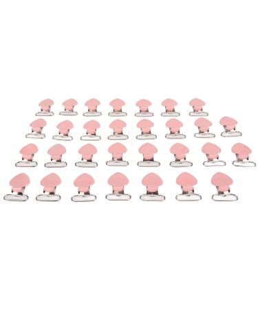 Suspender Clips 30 Pieces Galvanized Pacifier Clips for DIY
