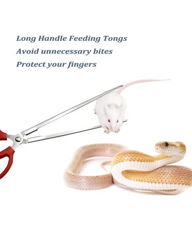 Evago Stainless Steel Reptile Feeding Tongs | 15 Straight Tweezers for Lizards Snakes & Aquatic Plants - Buy Online on GoSupps.com
