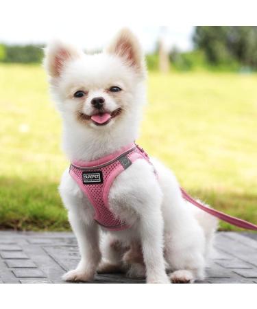 Suredoo Reflective Dog Harness & Leash Set - Anti-Train Chest Harness for Small Dogs Puppies & Cats (Pink L) - International Shipping Available - Buy Online on GoSupps.com