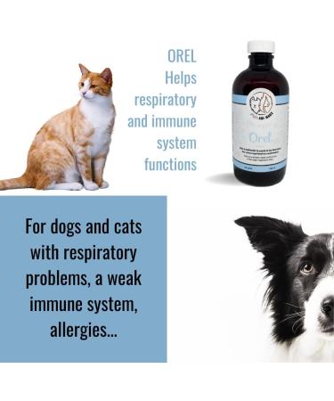 Orel (120 ML) - Natural Herbal Product (Cats and Dogs): for The Health of The Ears Eyes Nose Throat Respiratory System Immune System and infections. - Buy Online on GoSupps.com