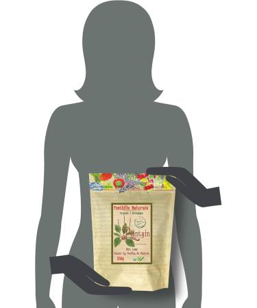 Foothills Naturals Plantain Leaf Cut Organic 350g Plantago Major 200+ Servings - Buy Online on GoSupps.com