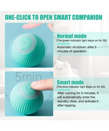 TGKYK Electric Cat Toys - Interactive Intelligent Balls for Cats & Dogs - 2 Pack (Pink & Green) - Quiet & Fun Playtime - Buy Online on GoSupps.com