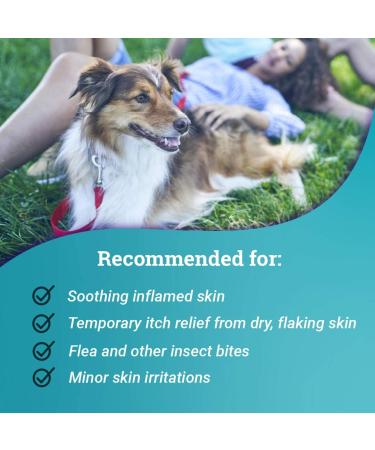 8 oz Relief Spray for Dogs, Cats, and Horses - Temporary Itch and Flake Relief - Buy Online on GoSupps.com