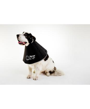 All Four Paws Comfy Cone Pet Collar - XX Large Black | Comfortable Recovery & Protection for Dogs - Buy Online on GoSupps.com