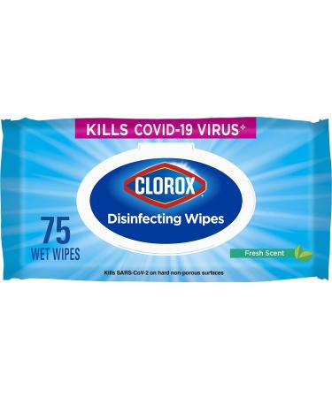 Clorox Disinfecting Wipes, Fresh Scent - 75 Count | Effective Cleaning & Germ Protection - Buy Online on GoSupps.com