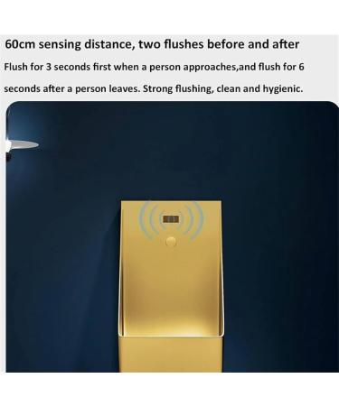 Automatic Sensor Urinal Toilet Washout Urinal Wall Mounted Intelligent Touchless Urinal Flush Valve Auto Urinals Flushing Set(Metallic) - Buy Online on GoSupps.com
