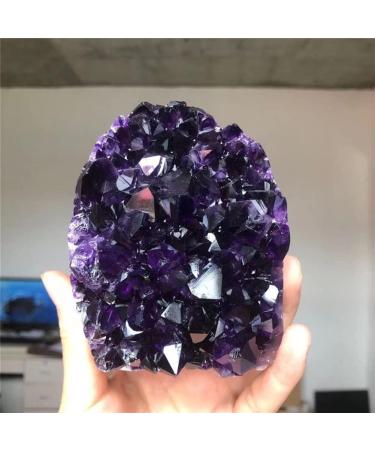 Natural geode Quartz CrystalsStones Uruguay Amethyst Cluster for Home Decoration NaturalCrystal Household qiangang (Color : 1pcs Size : 500-900g) 500-900g 1pcs - Buy Online on GoSupps.com