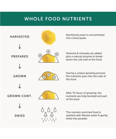 Gentle Iron Together Health Whole Food Nutrients Iron and B Vitamins Vegan Friendly Made in The UK 30 Vegecaps Unflavoured 1 count (Pack of 30) - Buy Online on GoSupps.com