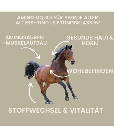 Amino Acids for Horse Bodybuilding - For Effective Trainings - Performance Vitamin E Amino Acid Paste Strengthening Recovery Musculature Regeneration Energy for Muscles Horses 2 x 30 ml - Buy Online on GoSupps.com
