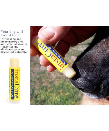 InstaCure Original Nose Balm with Manuka Honey, Coconut Oil & Shea Butter - Fast Relief for Cracked & Dry Noses - Ideal for Dogs - 1 Pack - Buy Online on GoSupps.com