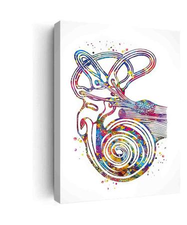 Modern Farmhouse Decor For Bedroom Semicircular Canals Ear Watercolor Print Audiologist Gift Audiology Ear Diagram Office Decor Clinic Medical Art ENT Doctor- 12in x18 in-Ready to hang red-7 12in x18 in-Ready to hang