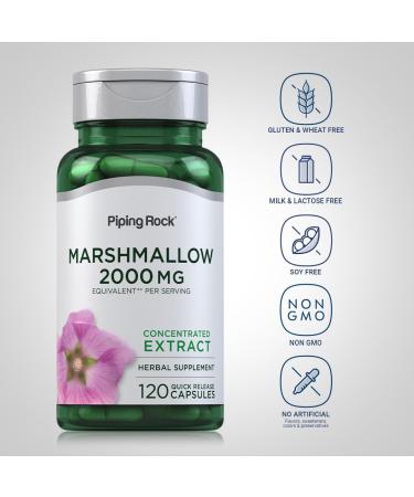 Piping Rock Marshmallow Root Supplement | 120 Capsules | Herbal Concentrated Extract | Non-GMO Gluten Free - Buy Online on GoSupps.com