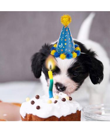 Cute Dog Party Hat Pet Cap 6 Pack - Puppy Cone Hats for Dogs & Cats - Birthday Holiday Festival Accessories - Buy Online on GoSupps.com