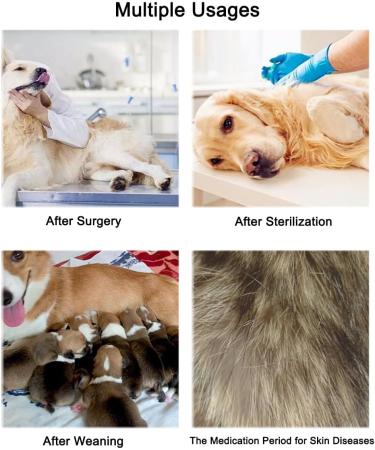 Dog Surgery Recovery Suit | Medical Pet Shirt for Cats & Dogs | After Surgery Onesie (Small Stripe) - Buy Online on GoSupps.com