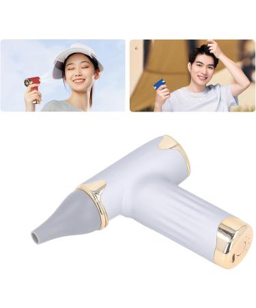 60W Electric Hair Dryer High Speed 4 Levels Wind Bladeless 1100mAh Battery Handheld Dust Blower (Silver) - Buy Online on GoSupps.com