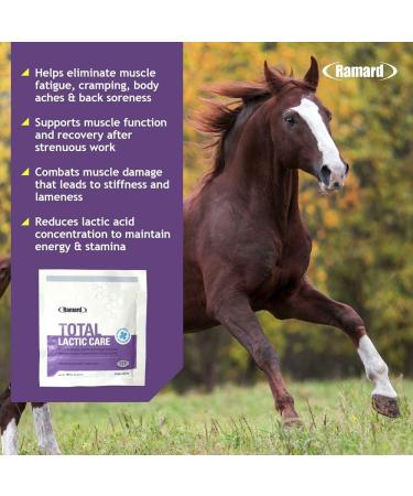 Ramard Total Lactic Care Muscle Function Support Supplement 25 Grams Single Serving - Buy Online on GoSupps.com