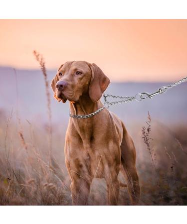 HAPPY HACHI Half Check Dog Collar | Martingale Collar for Medium to Large Dogs | Training and Walking Collar | Silver, Size S 30-43cm - Buy Online on GoSupps.com