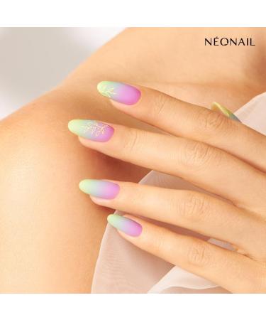 Neonail Stamping Plate 24 | Premium Nail Art Stencils for Stunning Designs | International Shipping Available - Buy Online on GoSupps.com