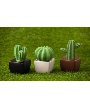 Buy Tri Cactus Non-Electric Ceramic Diffusers - Essential Oils & Aromatherapy Decor for Car Office & Home - Stylish Black Vase - Buy Online on GoSupps.com