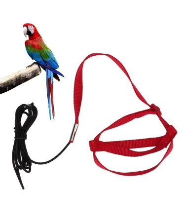 Bird dishes bird dishes Wavy-papage-bird-leash leash outdoor activities Training for parasites nymphensittish Alexandriner Vogelleine XS