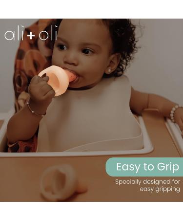 Ali+Oli Food & Fruit Feeder Pacifier Set for Baby - BPA-Free Silicone Teether for Infant & Toddler - Fruit Teethers (Oat & Coco) - 2 Sizes in 1-pk - Buy Online on GoSupps.com