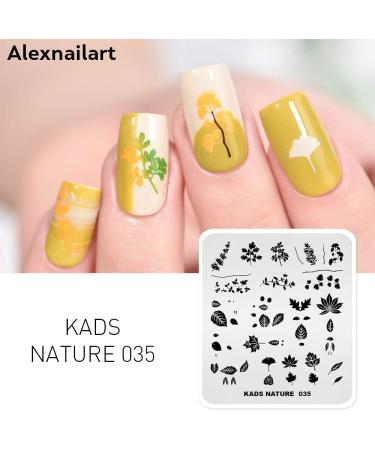 Alexnailart Nail Art Stamping Plates Image Template Nature Plant Leaf Pattern Design Stamper Nail Art DIY Print Manicure Nail Art Stencil Tools NA035 - Buy Online on GoSupps.com