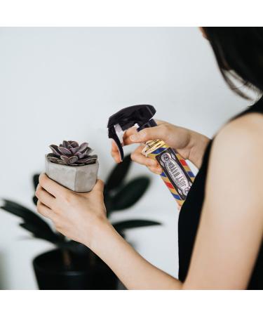 Barber's Pole Style Hair Spray Bottle 6.76 fl oz - Pack of 2 Gold Fine Mist Sprayers for Hair Styling, Hairdressing, Cleaning Solutions, and Plants - Buy Online on GoSupps.com