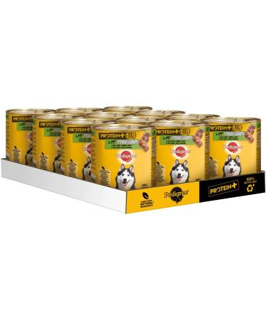 Pedigree Can Protein+ Duck and Beef in Pate 12 x 800g Dog Food Wet Food Donsenfutter