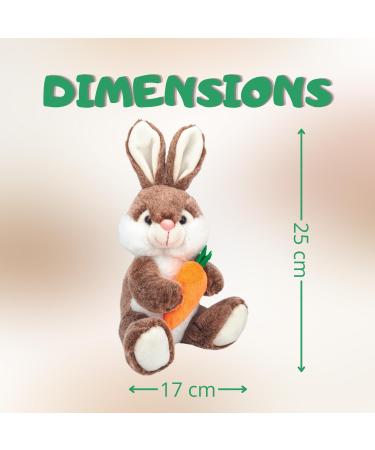 Peluches Lapins et leur assortiment de 20 chocolats KINDER CELEBRATIONS DAIM - Cadeau Original pr t offrir - Buy Online on GoSupps.com