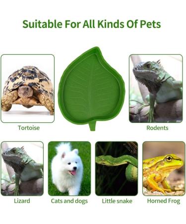 Phoetya Reptile 2 Pcs Leaf Reptile Food Water Bowl Plate Dish Reptile Feeder for Tortoise Corn Snake Crawl Pet Drinking and Eating 2 Sizes - Buy Online on GoSupps.com