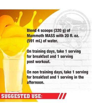 MAMMOTH Mass Weight Gainer Powder 15lb - High Calorie Protein Shake for Weight Training | Low Sugar, Whey Isolate & Casein Protein Blend | Vanilla Flavor - Buy Online on GoSupps.com