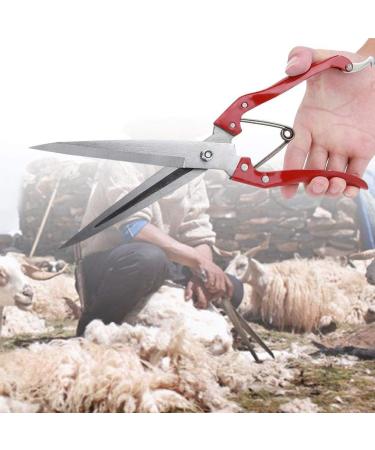 Multifunctional Stainless Steel Sheep Shears & Garden Scissors - 30cm Needle-Nose Plant Rose Vineyards & Florist Scissors - Buy Online on GoSupps.com