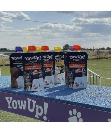Yowup! Joint Yogurt for Dogs with Collagen Glucosamine and Chondroitin 115GR- Lactose Free Sugar Free and Fat Free | Natural Snacks for Dogs (Pack of 3 Units) - Buy Online on GoSupps.com