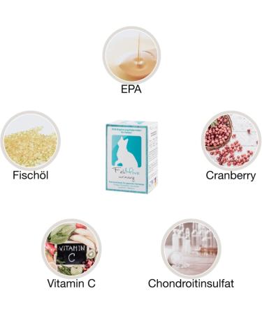 Felimove Urinary for Cats - 100 Capsules | Struvite FUS FLUTD & Cystitis Support with Cysticran EPA Chondroitin & Vitamin C - Fast International Shipping - Buy Online on GoSupps.com