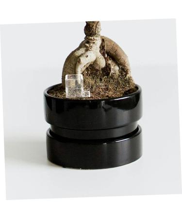 Kisangel 5pcs Pet Water Feeder Ants Feeder Water Feeding Cup for Ants Nest Ants Waterer for Garden Plastic - Buy Online on GoSupps.com