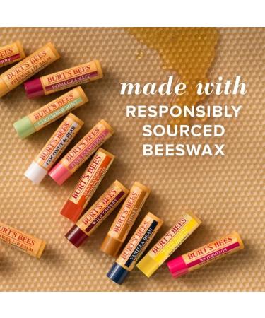 Buy Burt's Bees Beeswax Lip Balm 4.25g - Natural Honey Flavor - Moisturizing Lip Care - Global Shipping - Buy Online on GoSupps.com