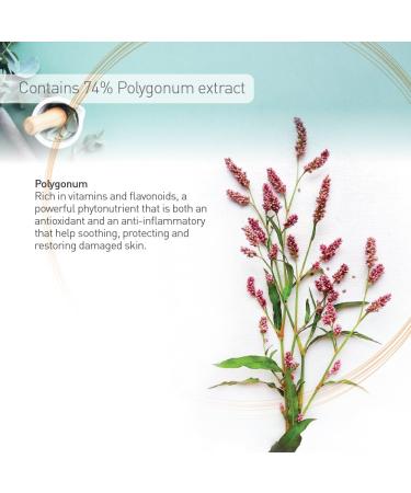 Moraz Pregnancy Body Lotion - Herbal Formula for Women | Hydrating & Elasticity-Boosting | Jojoba Oil - 5.1 oz - Buy Online on GoSupps.com