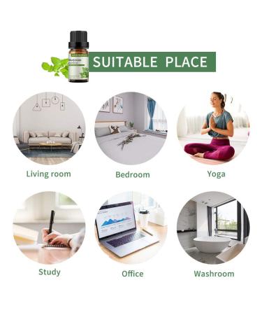 GREENSLEEVES Marjoram Essential Oil, 10ml Pure Plant-Based Fragrance Oil for Aromatherapy, Essential Oils for Diffuser, Air Freshener, Massage, Bath Bomb, Scented Candle Soap Making - Buy Online on GoSupps.com