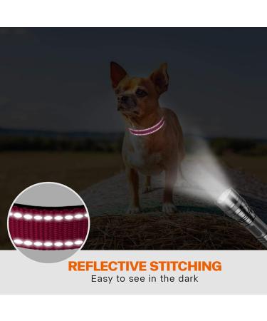 Buy Taglory Soft Padded Neoprene Dog Collar - Adjustable & Reflective Hot Pink XS for Puppies | International Shipping Available - Buy Online on GoSupps.com