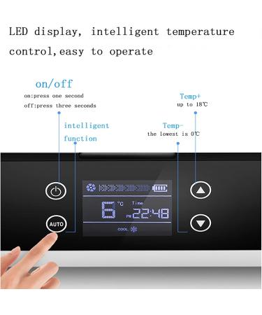 Insulin Cooler Case 10200mAh Rechargeable Portable Refrigerator Mini Drug Cold Storage Box Small Car Cool Box with Carrying Bag for Travel - Buy Online on GoSupps.com