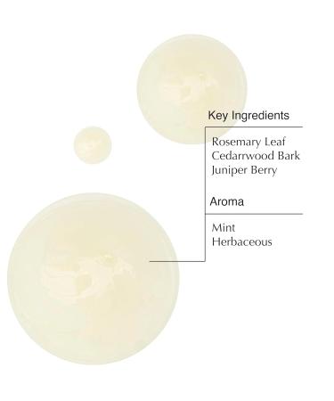 Aesop Classic Shampoo & Conditioner - Hydrating Softening Hair Care | Paraben-Free Cruelty-Free Vegan | 16.9 oz - International Shipping Available - Buy Online on GoSupps.com