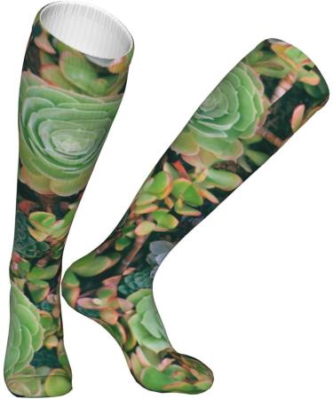 Shop Compression Stockings for Men & Women | 15-20 mmHg Support for Running & Cycling | Enhance Circulation & Comfort - Buy Online on GoSupps.com