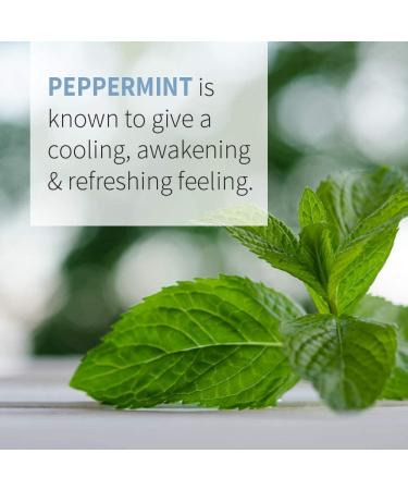 Garden of Life Organic Peppermint Essential Oil 1 fl oz - Pure, Undiluted, Non-GMO for Diffuser & Aromatherapy - Buy Online on GoSupps.com