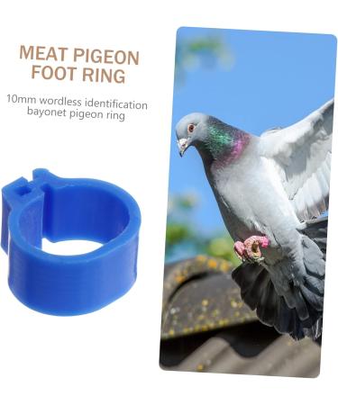 BESPORTBLE 300 Pcs Meat Pigeon Anklet Chicken Ankle Bands Pigeon Leg Ring Bird Leg Clips Hen Plastic 1.3X1.3CMx3pcs Dark Bluex3pcs - Buy Online on GoSupps.com