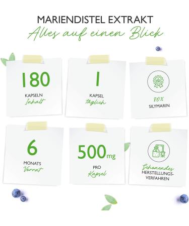 Mary Thistle Extract 180 Capsules - 500mg 80% Silymarin Vegan High-Dose Laboratory Tested - 6 Month Supply - Premium Quality - Buy Online on GoSupps.com